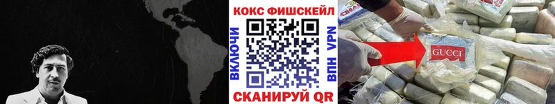 COCAIN Fish Scale  Купить где  Ясногорск 