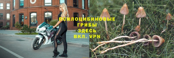 дживик Липки