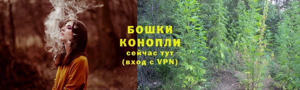 метадон Лабытнанги